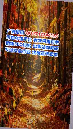 西工借腹生子新材料经营部